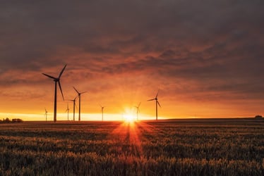 CDP Reporting Changes 2022