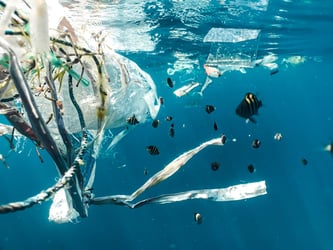 Focusing on reduction to the Plastic Promblem 