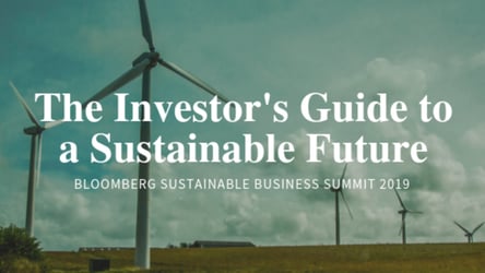 the investor's guide to a sustainable future