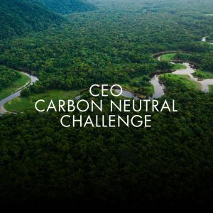 good environmental news 2019 positive environmental news good news 2019 good sustainability news 2019 positive environmental news