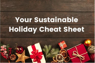 sustainable holiday guide green gift guide Christmas holiday shopping guide environmental 5 corporation