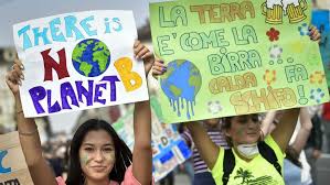 good environmental news 2019 positive environmental news good news 2019 good sustainability news 2019 positive environmental news