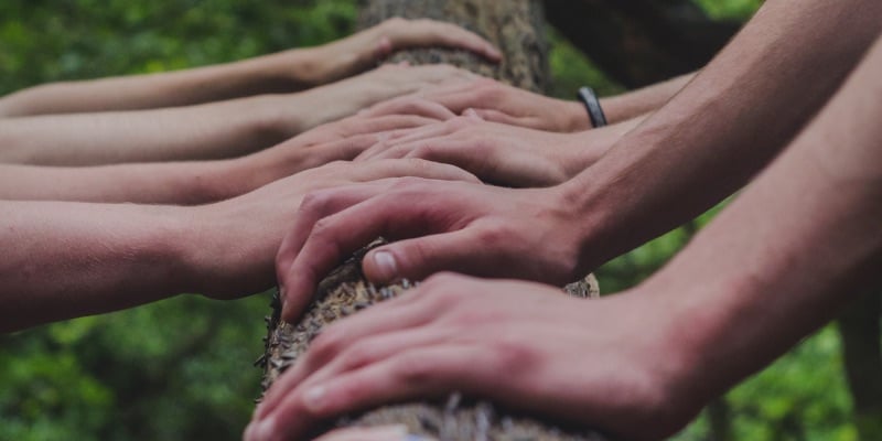 Supplier Engagement Strategy