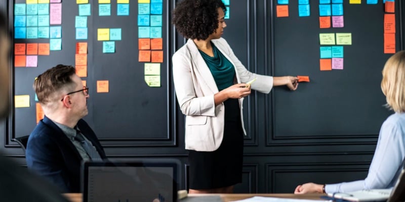 Stakeholder Engagement Case Study