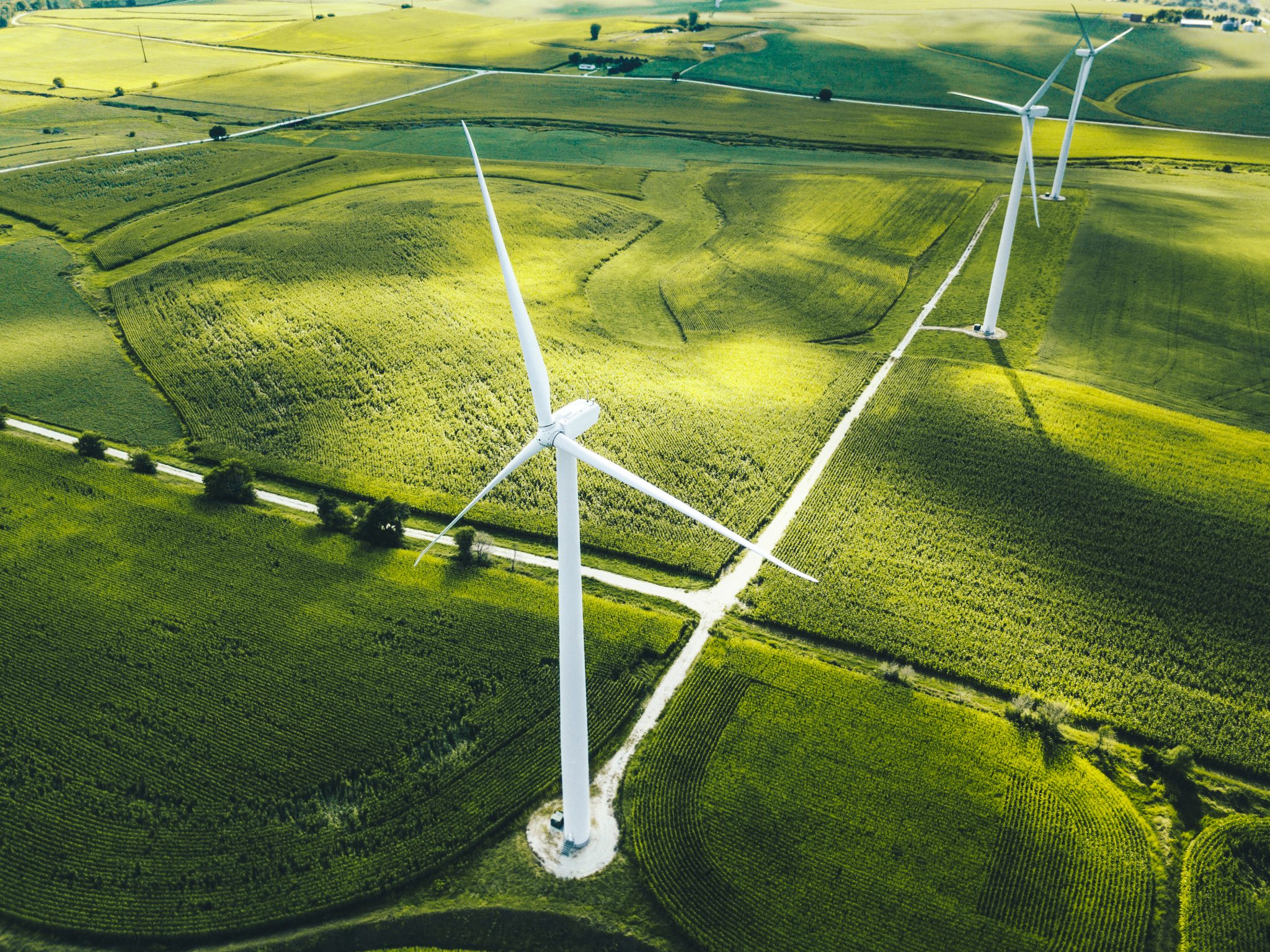 Wind farm in a green farm area