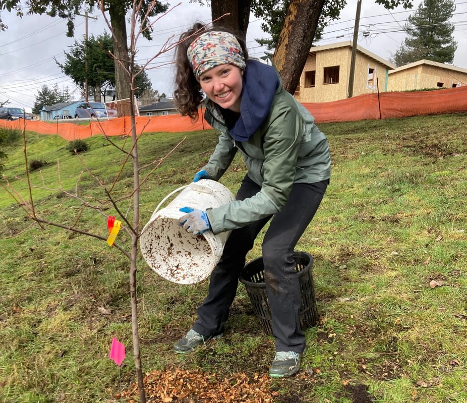 Volunteer planting a tree sapling 