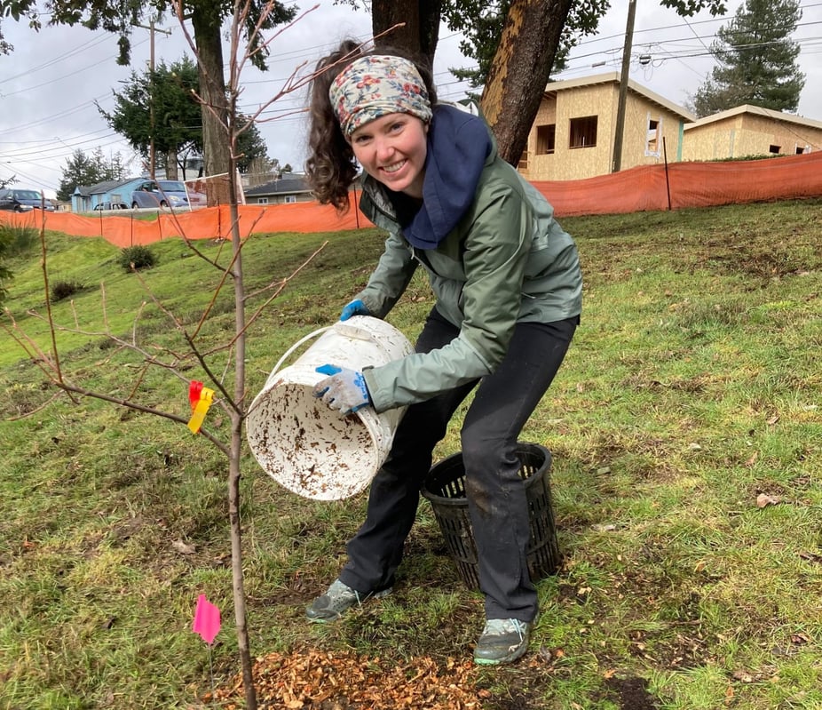 Volunteer planting a tree sapling 