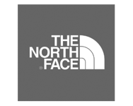 Northface gray Logo