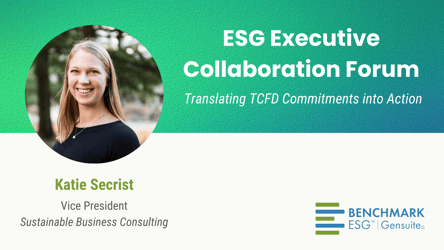 Translating ESG and TCFD Commitments into Practice