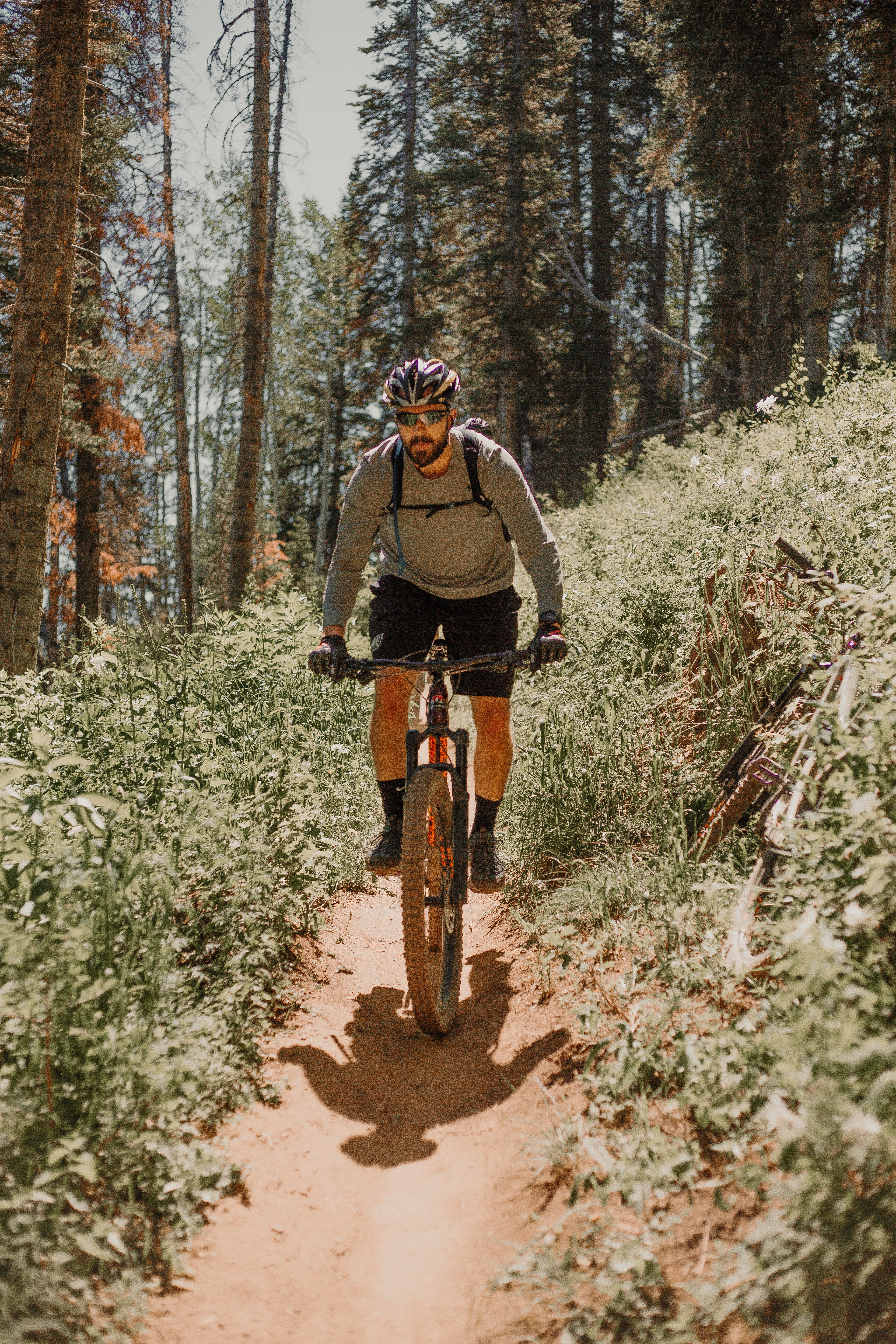 mountain biking through forest