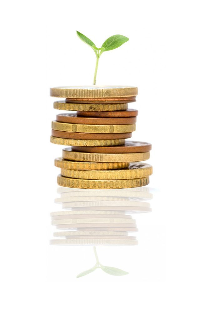 stack of coins with plant on top